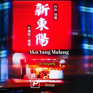Dengarkan Aku Yang Malang lagu dari Dj sayang dengan lirik