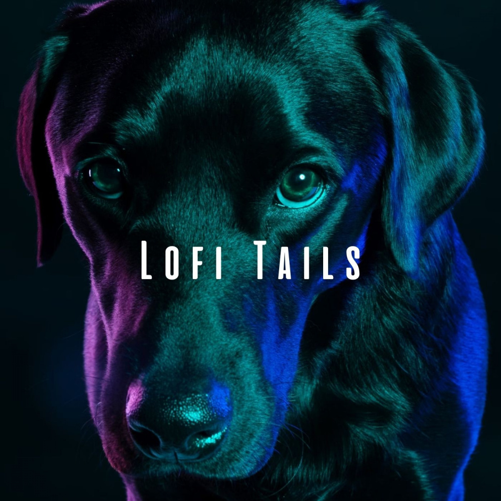 Serene Paws and Lofi Harmony