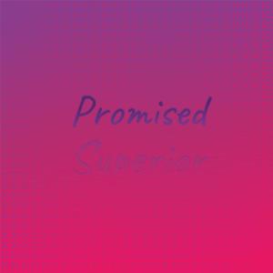 Various的专辑Promised Superior