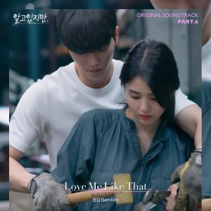 ดาวน์โหลดและฟังเพลง Love Me Like That พร้อมเนื้อเพลงจาก SAM KIM