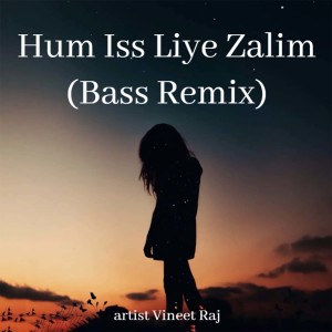 Album Hum Iss Liye Zalim (Bass Remix) from Vineet Raj
