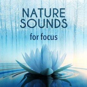 อัลบัม Nature Sounds for Focus ศิลปิน Deep Sleep Meditation