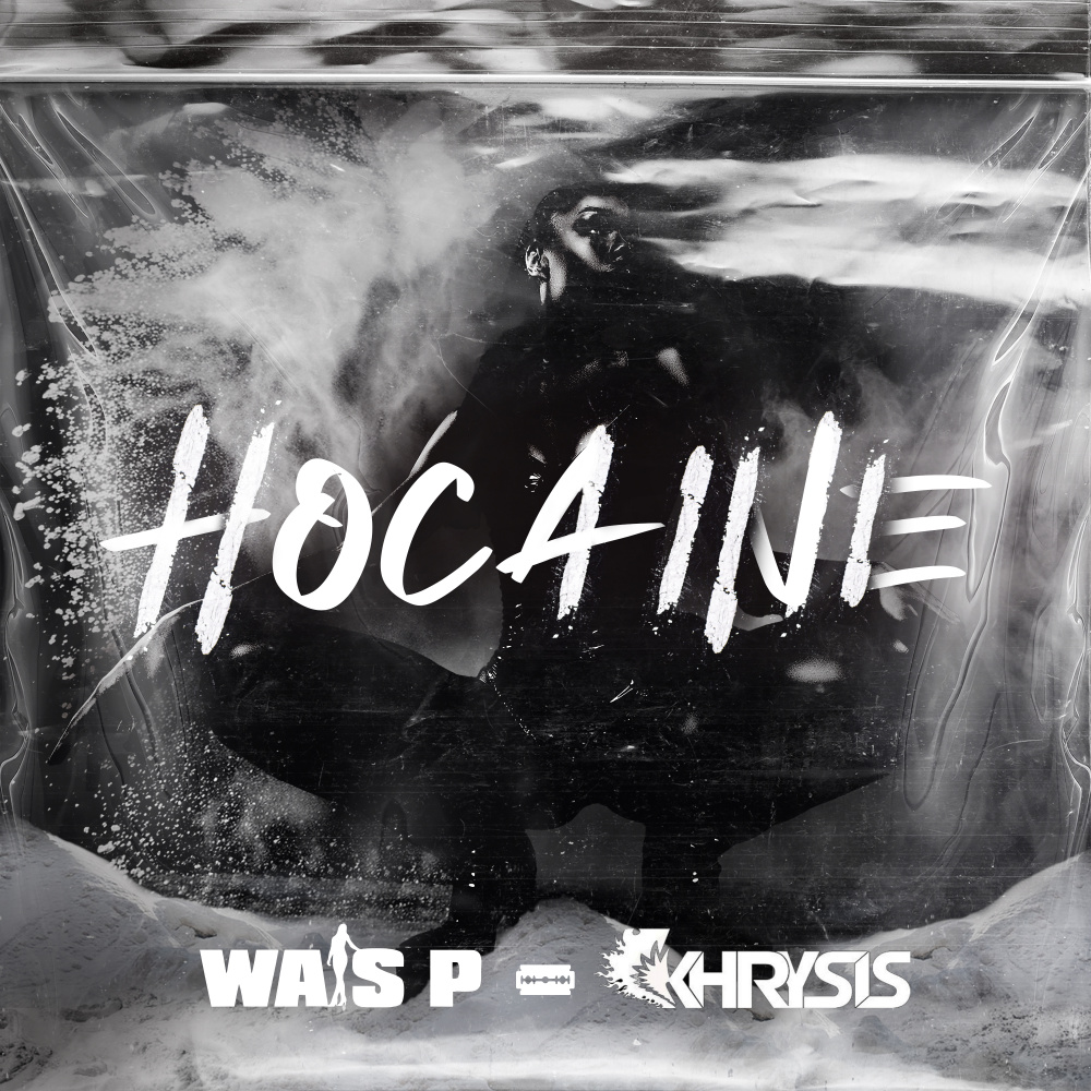 Do No Disturb (feat. Paul Wall) (Explicit)