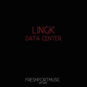 Album Data_Center from Lingk
