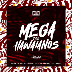 收聽DJ Silva Original的Mega dos Hawaianos歌詞歌曲