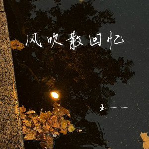 อัลบัม 风吹散回忆 ศิลปิน 王一一