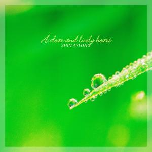 Album Clear You Like Dew oleh Choi Sujin