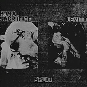 收聽Levity的Learn To Fly歌詞歌曲