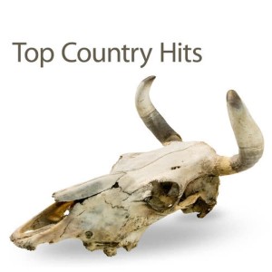 ดาวน์โหลดและฟังเพลง Chattahoochee พร้อมเนื้อเพลงจาก Hit Co. Masters