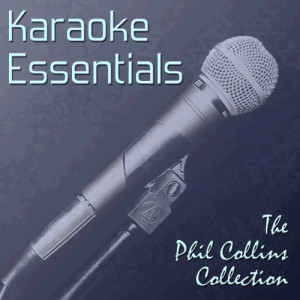 收聽ProSound Karaoke Band的Do You Remember (Karaoke With Background Vocals) [In the Style of Phil Collins]歌詞歌曲