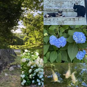 ดาวน์โหลดและฟังเพลง Neighborhood Escape Plan พร้อมเนื้อเพลงจาก Anna Lily