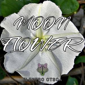 Listen to Moon Flower song with lyrics from Elektro Otsoa