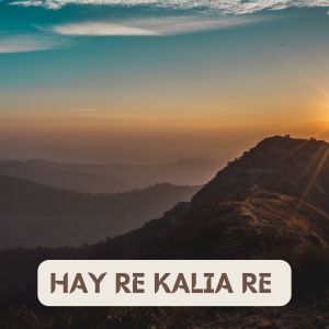 收听Goutam Das Baul的HAY RE KALIA RE歌词歌曲