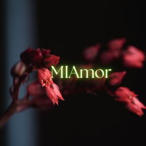 Listen to Mi Amor (Slowed|Reverb) song with lyrics from Gautam