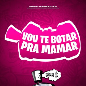 อัลบัม Vou Te Botar Pra Mamar (Explicit) ศิลปิน DJ Ribeiro 067