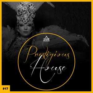 Prestigious House, Vol. 17 dari Various Artists