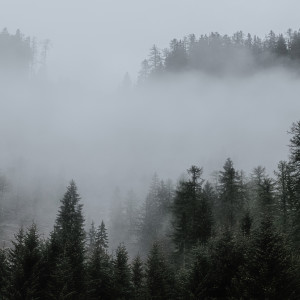 Listen to Gentle Sleep Music song with lyrics from Deep Sleep