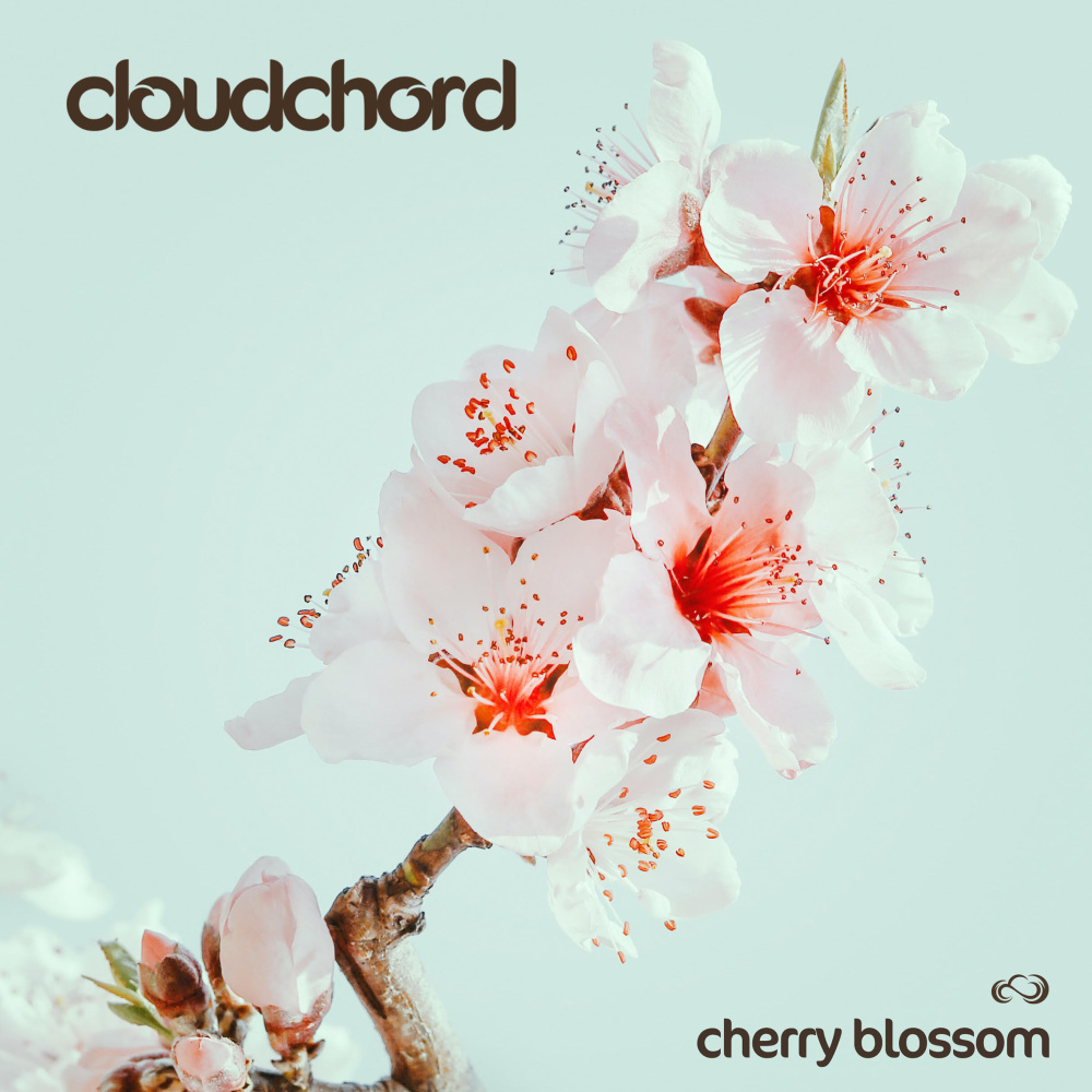 Cherry Blossom