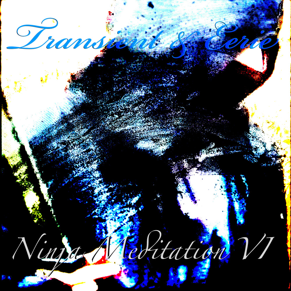 Ninja Meditation Vi