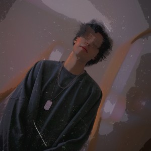 Listen to 坏哥哥freestyle (Remix) song with lyrics from 迪木