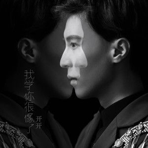 收听开开的我学你很像了 (伴奏)歌词歌曲