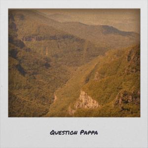 Album Question Pappa from Various