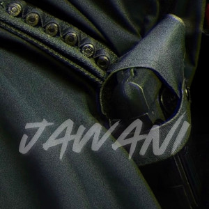 Listen to Jawani song with lyrics from Jagga