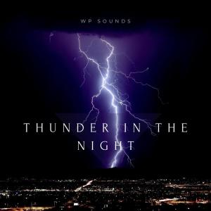 Listen to Thunder In The Night (Binaural) song with lyrics from Wp Sounds