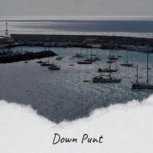 Album Down Punt from 