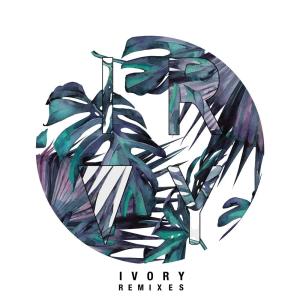 Tez Cadey的專輯Ivory Remixes