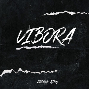 ดาวน์โหลดและฟังเพลง Vibora พร้อมเนื้อเพลงจาก Young Eiby