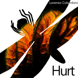 收聽Lorenzo Colombini的Hurt (DJ Gruja Retouch)歌詞歌曲