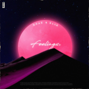 Listen to Feelings (Explicit) song with lyrics from Shae