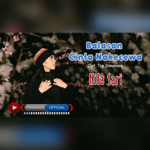 Dengarkan Balasan cinta nakecewa (Lagu tapsel) lagu dari Nila Sari dengan lirik