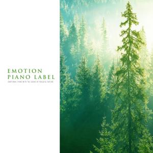 Album Emotional Piano With The Sound Of Peaceful Nature (Nature Ver.) oleh Various Artists