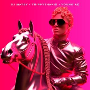 收聽DJ MATEY的Bitch I'm The Shit!!! (Explicit)歌詞歌曲