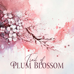 Trail of Plum Blossom (Calming Chinese Music)