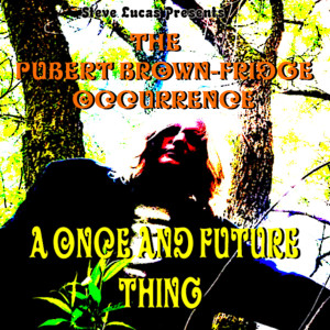 อัลบัม A Once and Future Thing ศิลปิน Steve Lucas