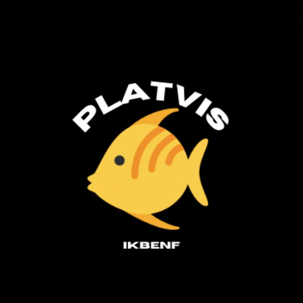 PLATVIS