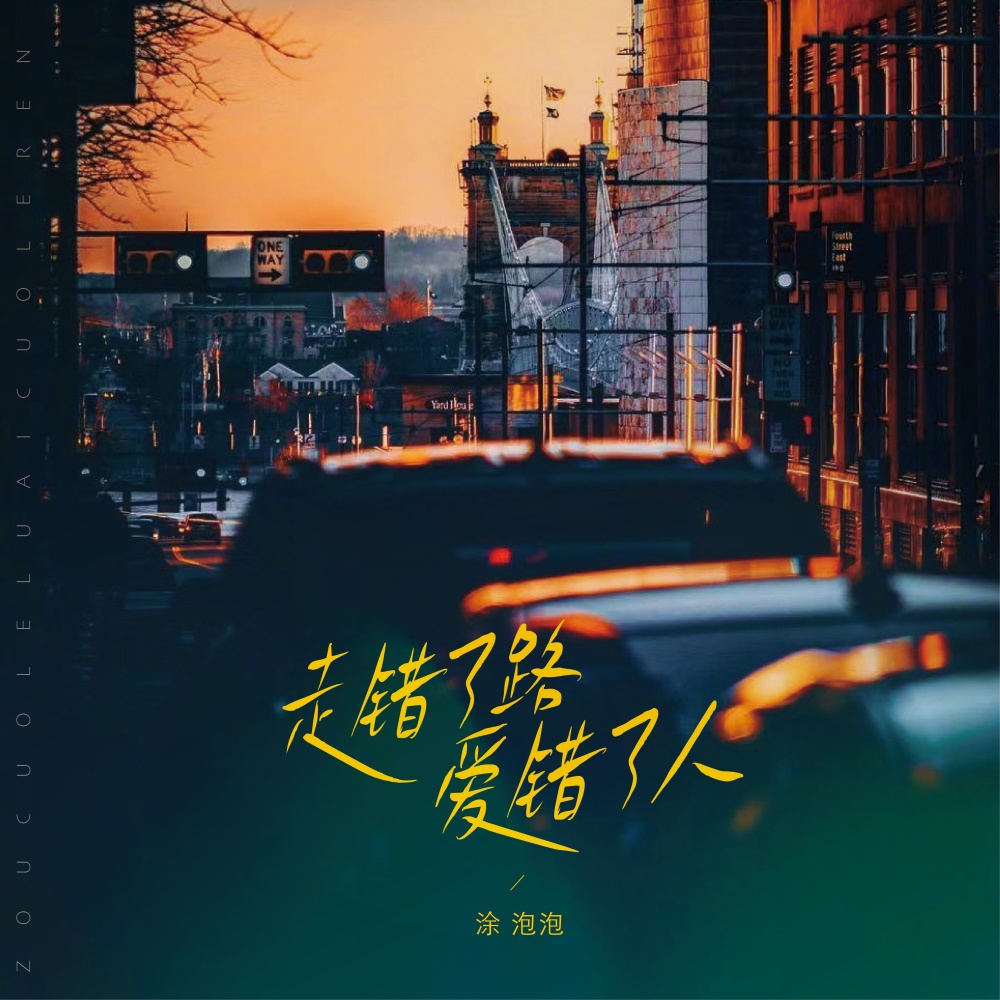 走错了路爱错了人(DJ Eva版) (伴奏)