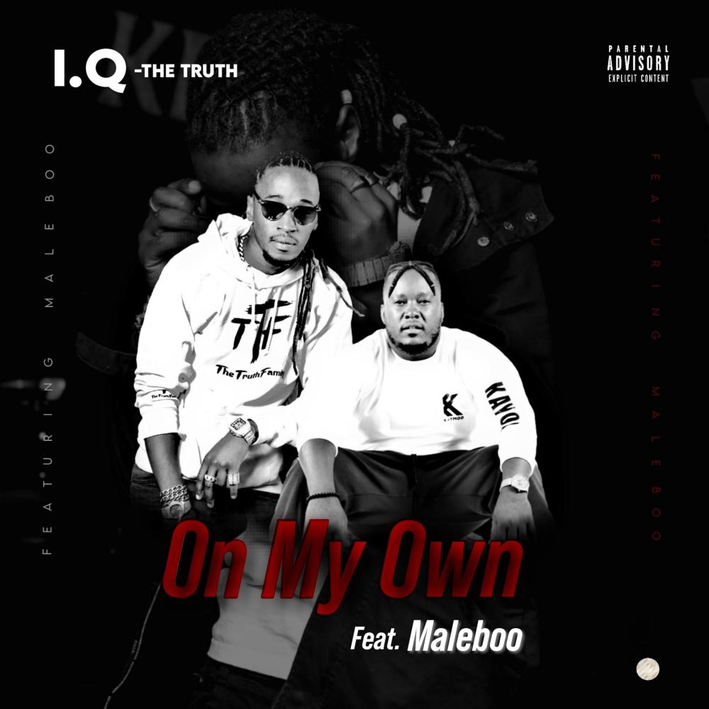 On My Own (feat. Maleboo) (Explicit)