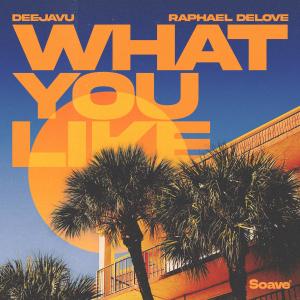 Album What You Like from 
