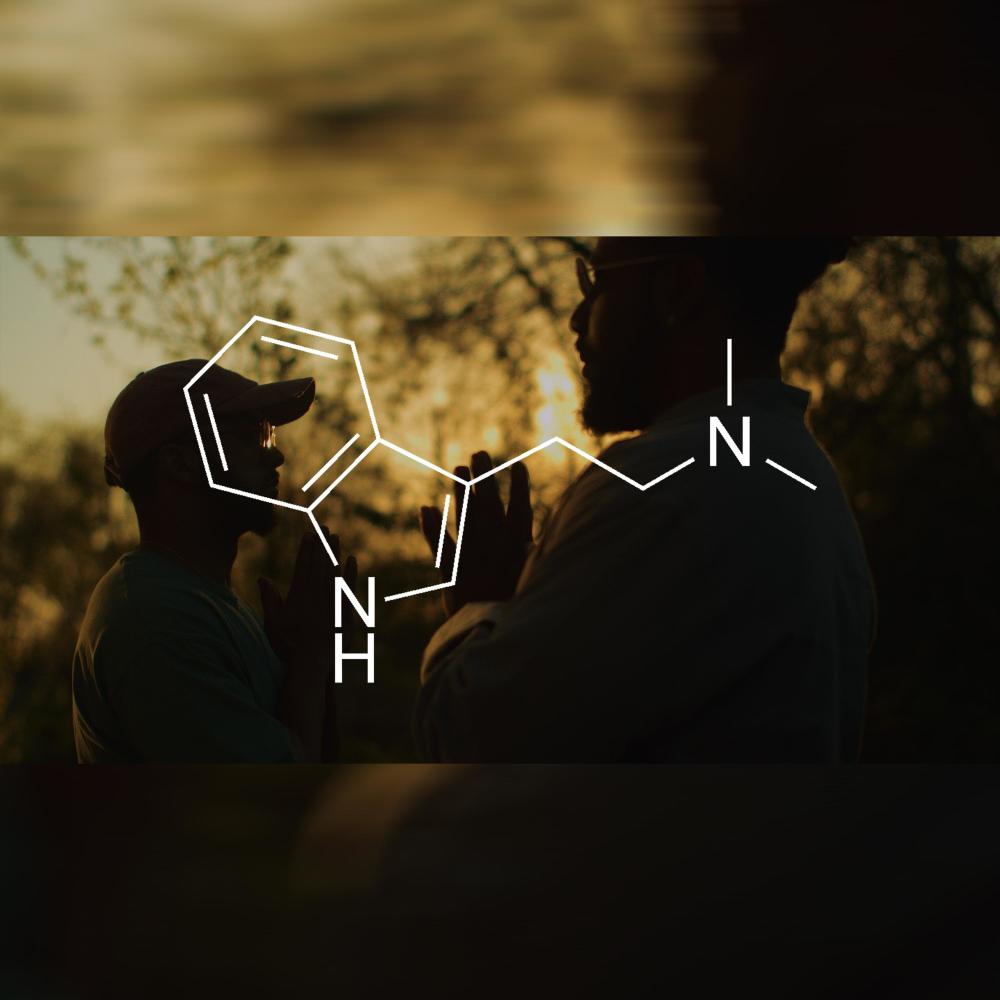 Ayahuasca (feat. Jodie Jermaine) (Explicit)