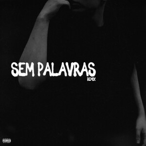 EnemyDavy的專輯Sem Palavras (Remix) (Explicit)