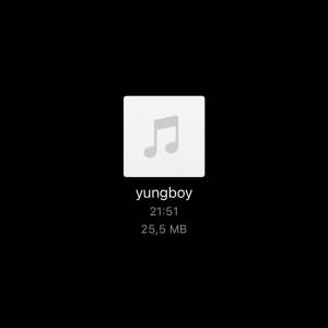 Nower的專輯yungboy