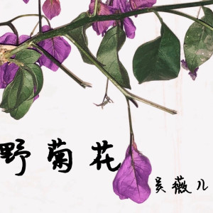 吳薇兒的專輯野菊花