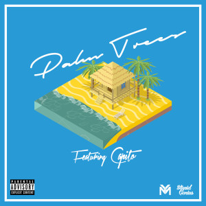 Album Palm Trees (feat. Capito) (Explicit) from StupidGenius