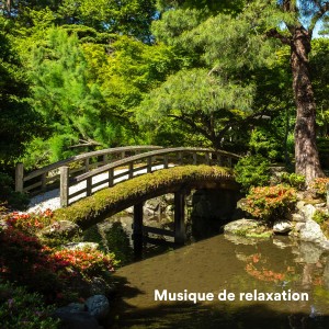 Musique Relaxante Pour Étudier的專輯Musique de relaxation