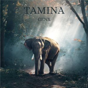 Listen to Tamina song with lyrics from GenX