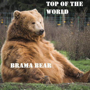 ดาวน์โหลดและฟังเพลง Top of the World (Explicit) พร้อมเนื้อเพลงจาก Brama Bear